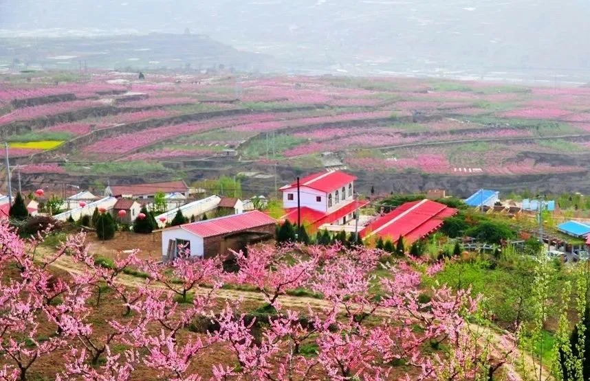 圖片默認(rèn)標(biāo)題_fororder_秦安1