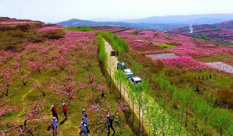 圖片默認(rèn)標(biāo)題_fororder_6