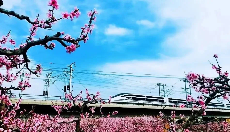 圖片默認(rèn)標(biāo)題_fororder_7